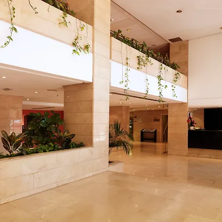 Intelier Rosa Castellón de la Plana